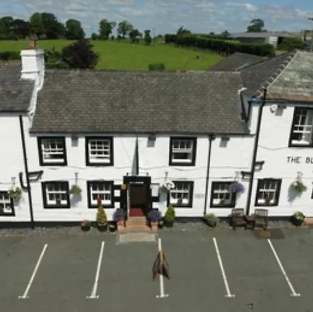 Inn Black Swan 3*