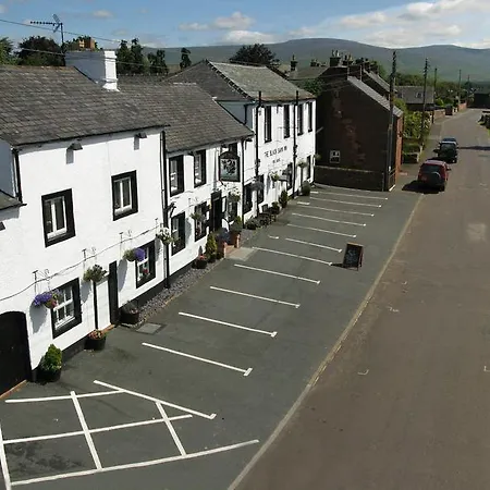 Inn Black Swan