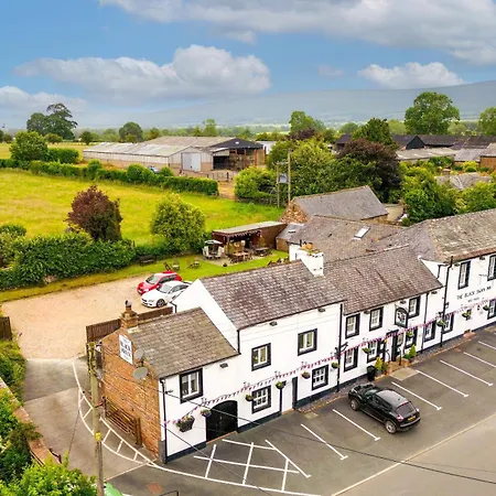 Inn Black Swan