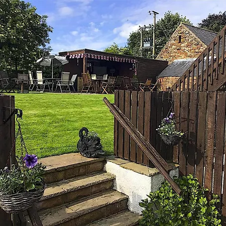 Black Swan イン 3*