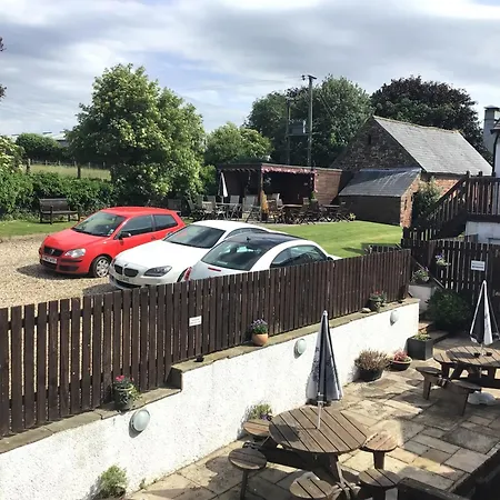 Black Swan イン 3*