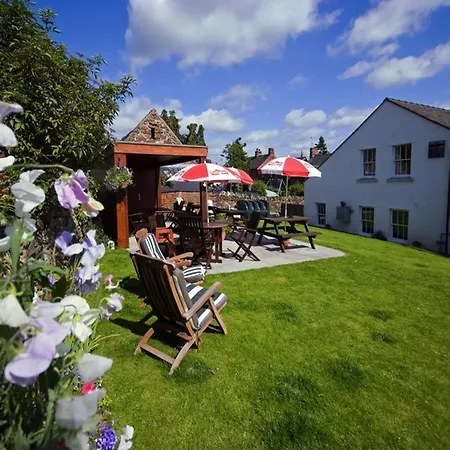 イン Black Swan Culgaith