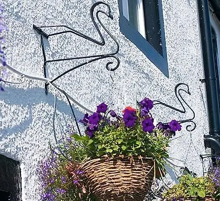 イン Black Swan Culgaith